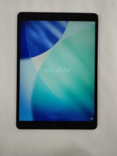 Apple ipad air - ipad,